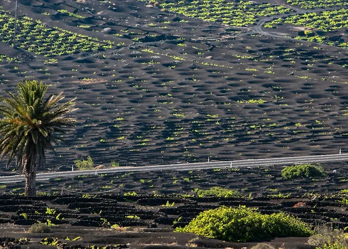 Home2book Luxury Playa Honda, Private Pool *