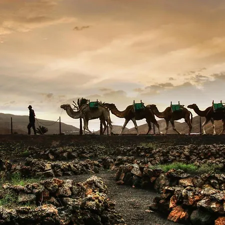 别墅 Home2book Luxury Playa Honda, Private Pool 宏达海滩